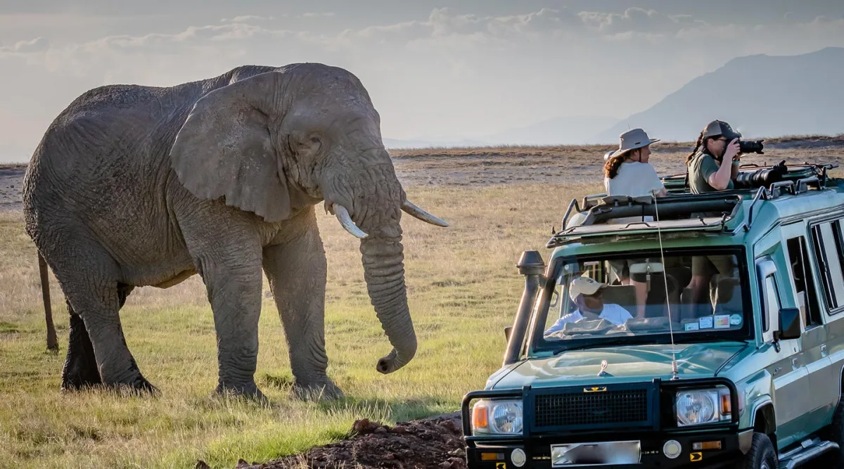 5 days tanzania safari