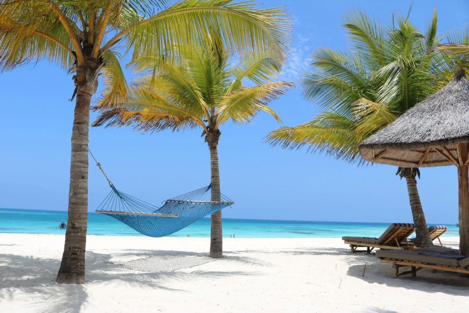 The Magic of Zanzibar: Beaches, Culture, and History