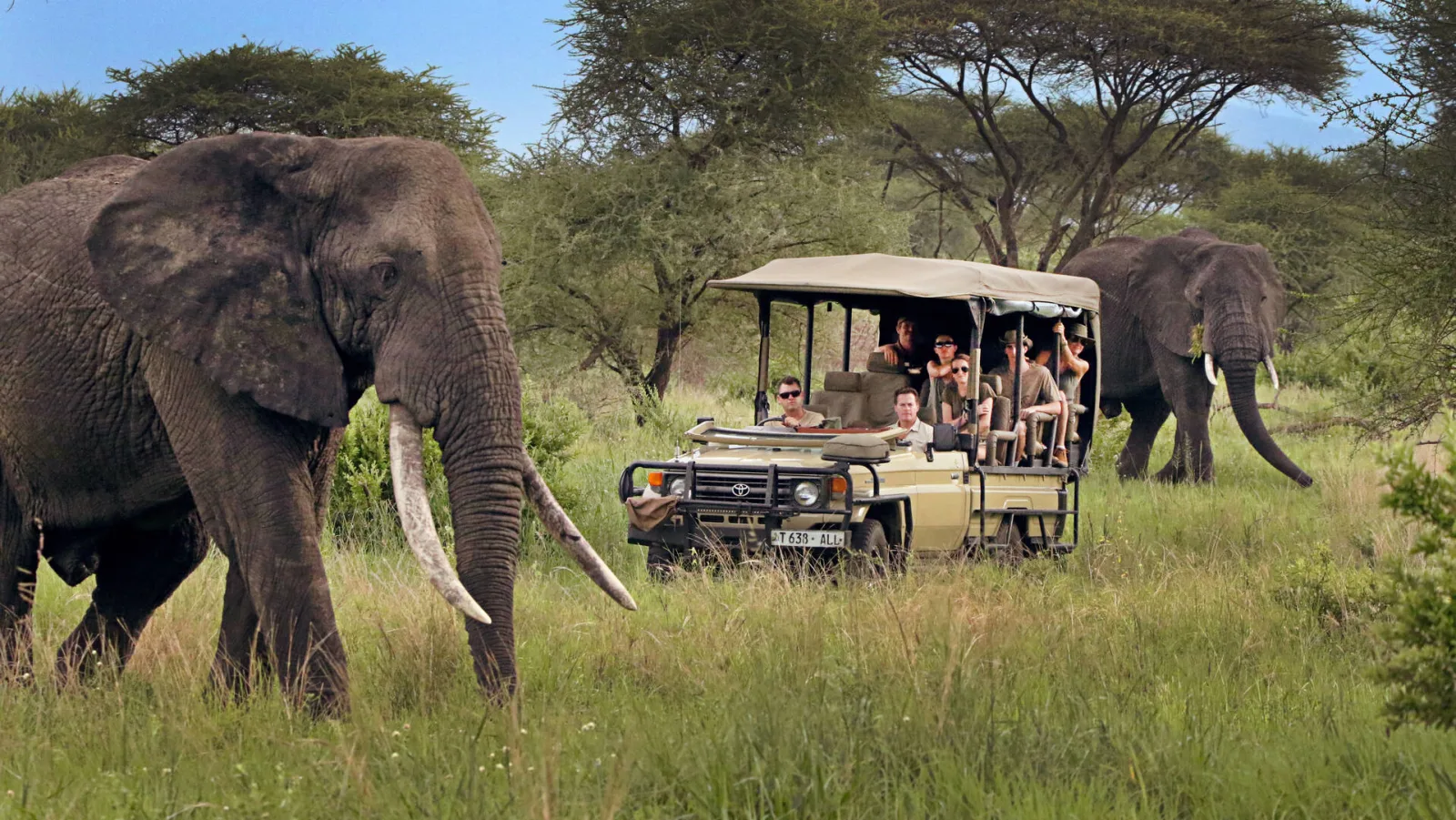Private safari vehicle viewing elephants in Tanzania