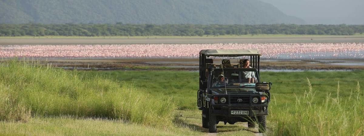 Game Drives