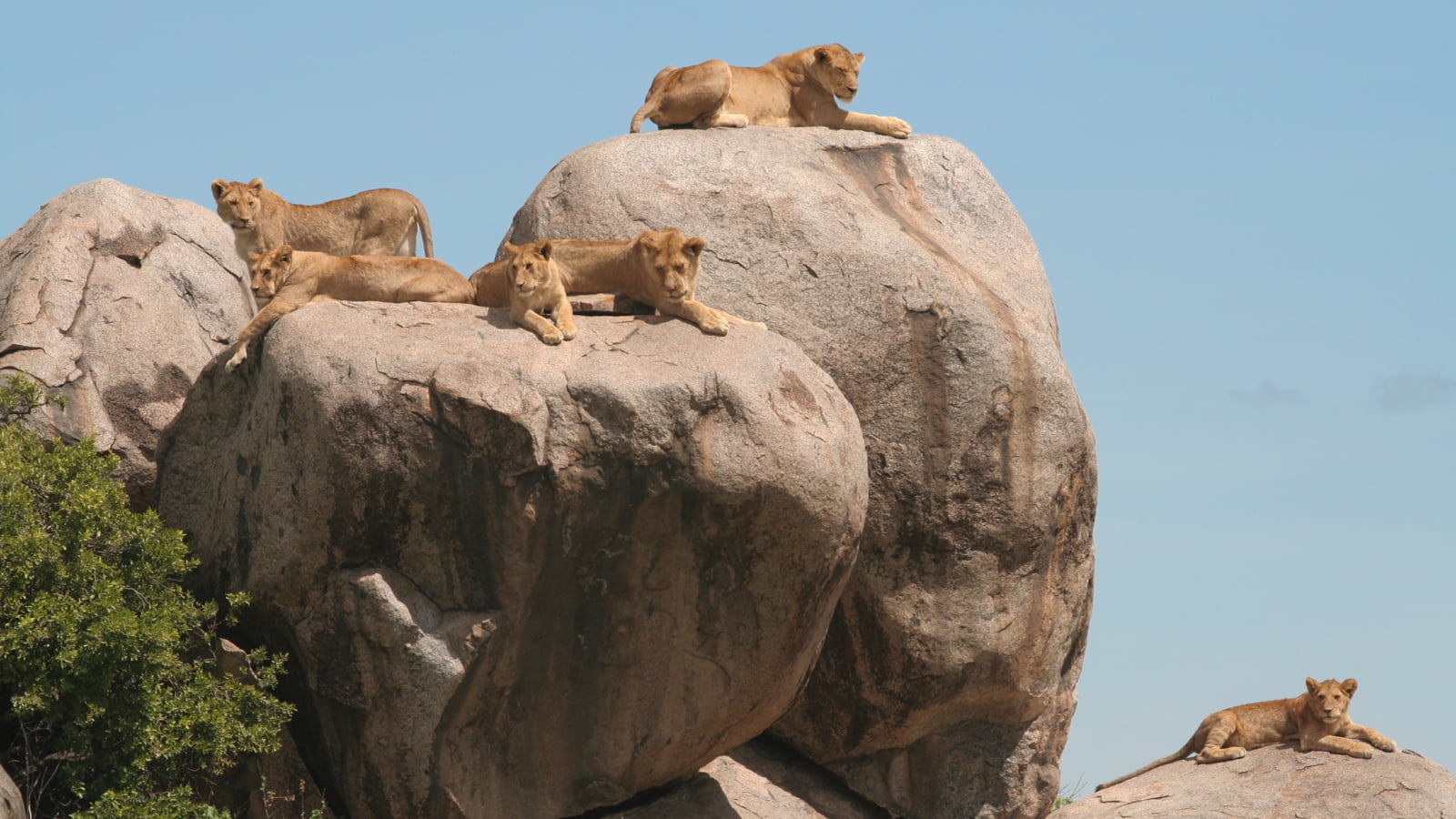 3 Day Tanzania Safari