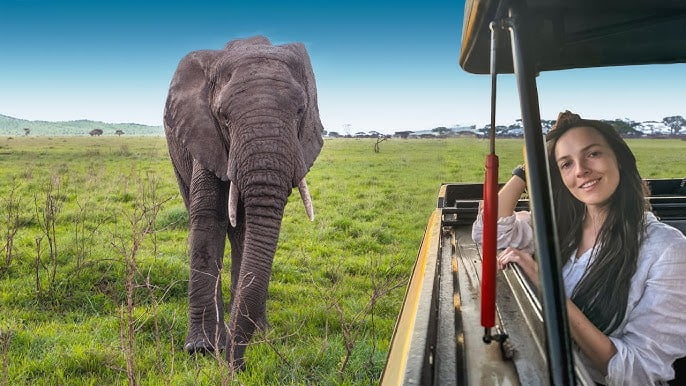Tarangire