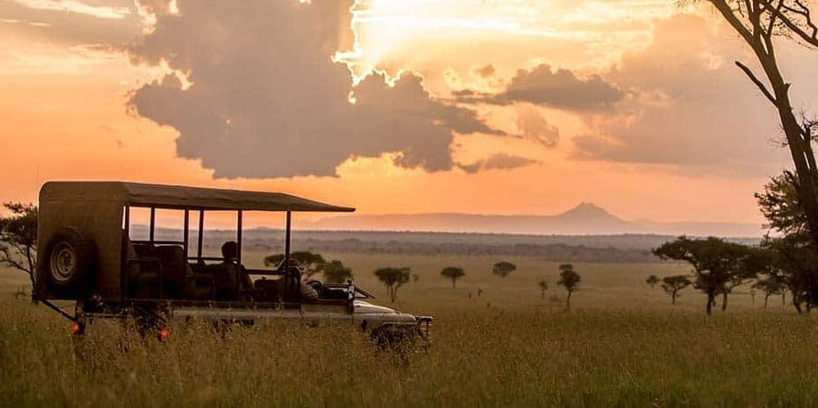Bush Breakfast