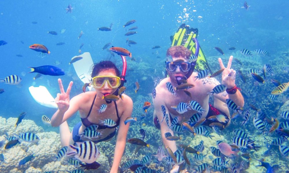 Mnemba Island Snorkeling