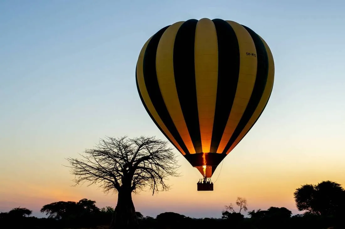 Serengeti From Above