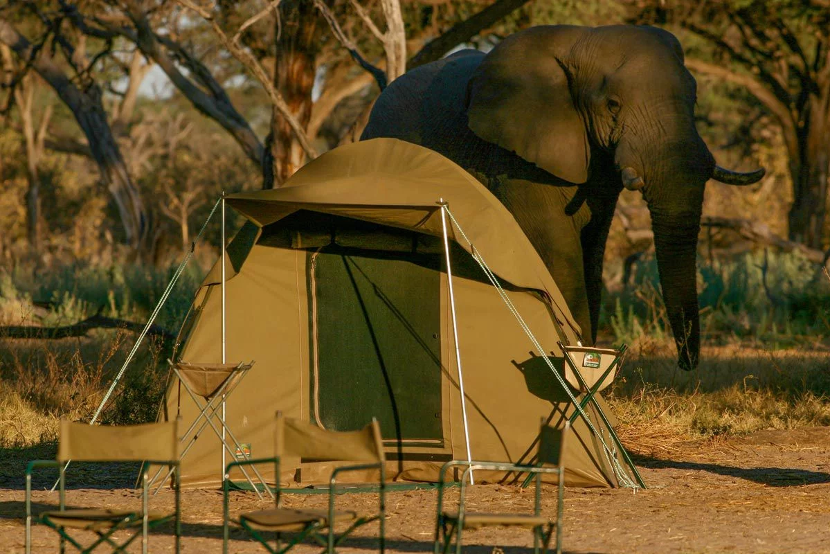 Explore Wildlife Up Close