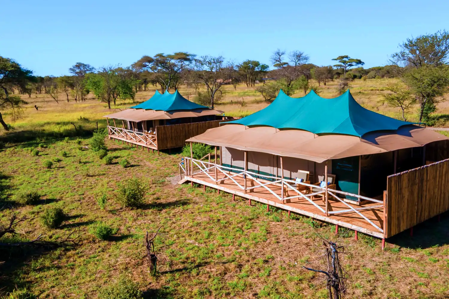 6 Days Tanzania Luxury Safari