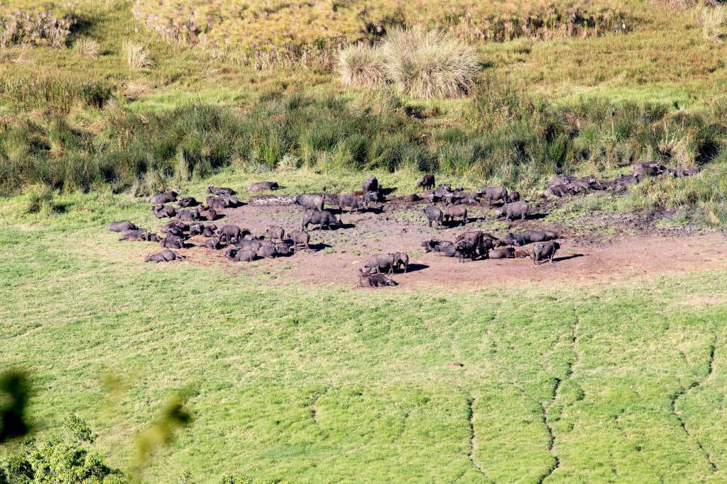 Ngurdoto Crater