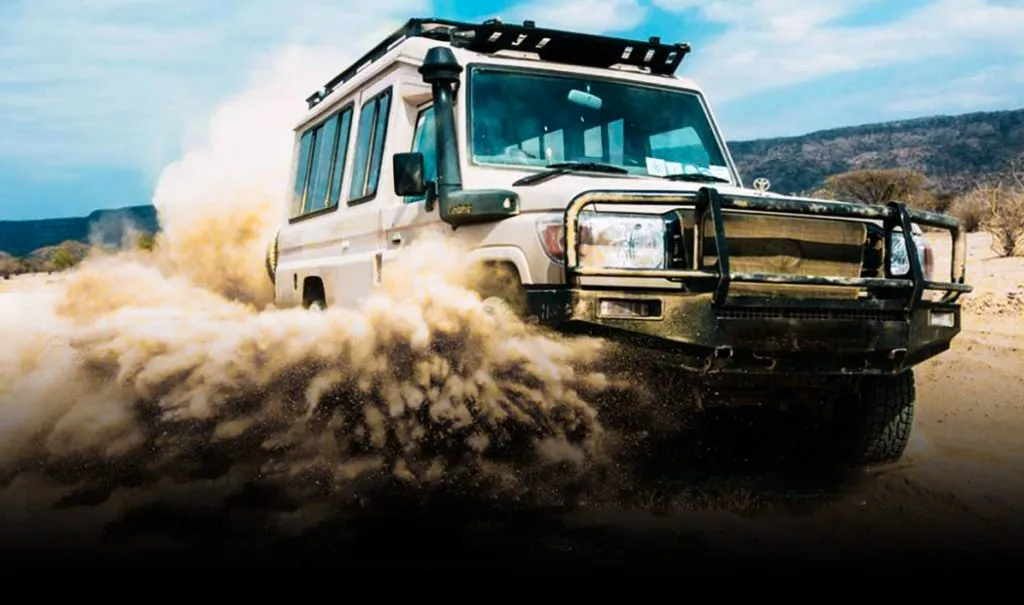  tanzania safari tips