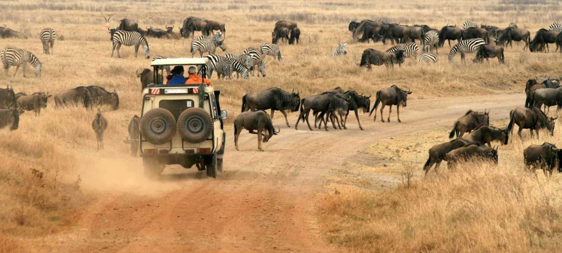 The Ultimate Guide to Tanzania's National Parks