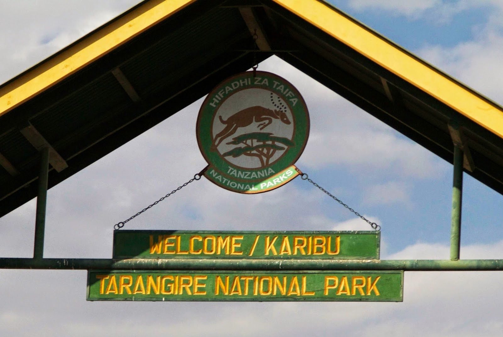 Tarangire Walking Experience