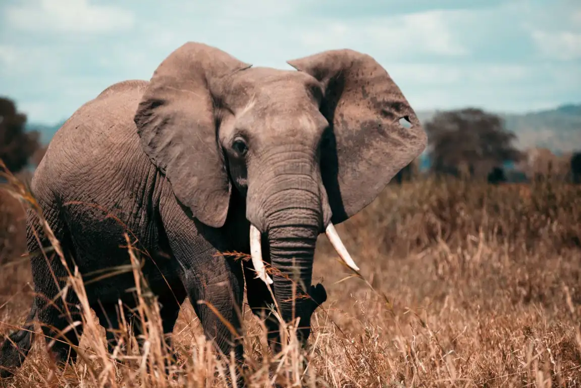 Top Weekend Getaways from Dar es Salaam