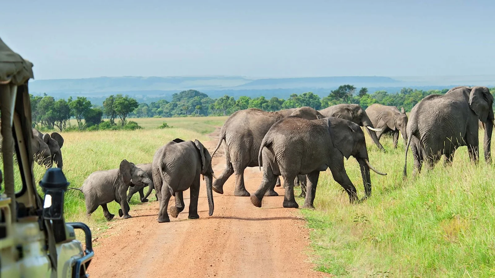 2 Day to Nyerere National Park