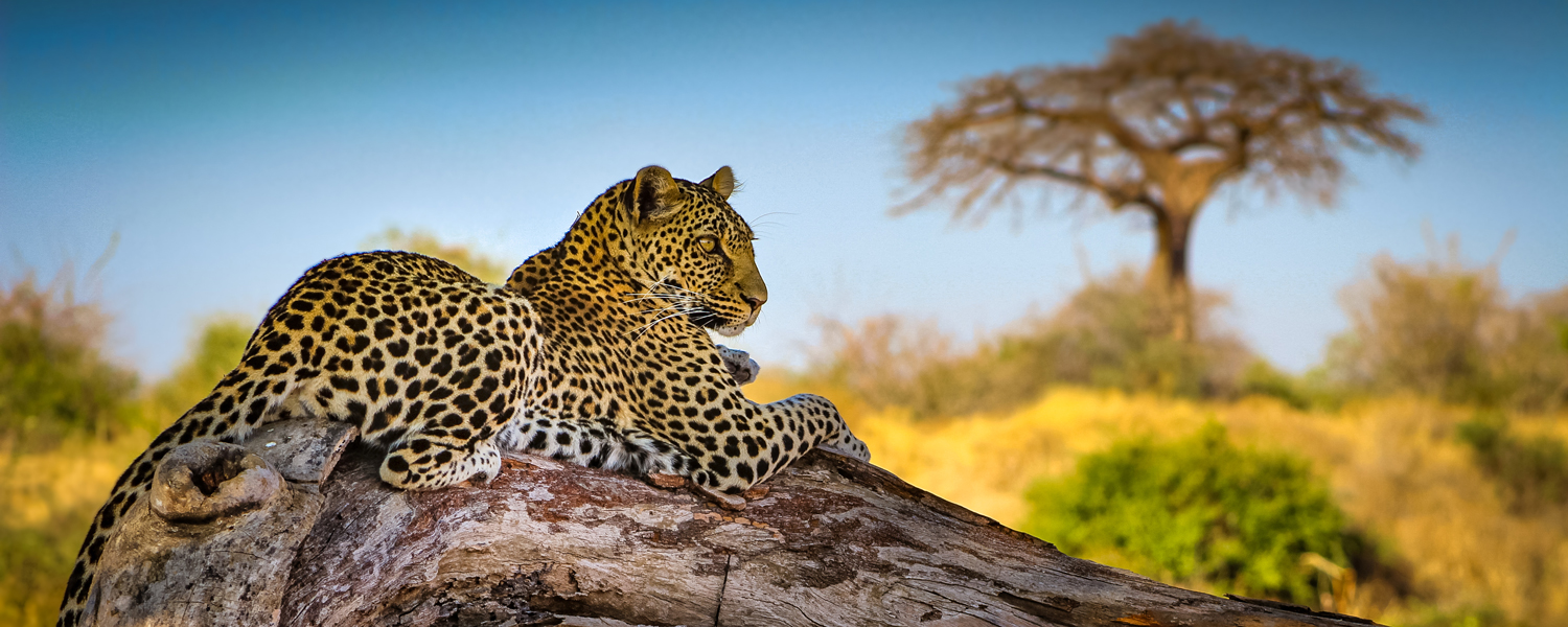 5 Days in Northern Tanzania