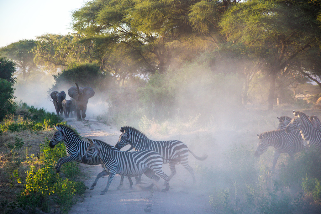 Everything You Need to Know Before Visiting Tanzania