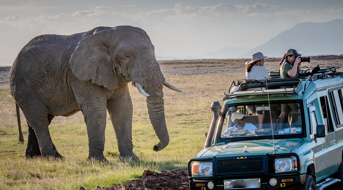 Top-Notch Wildlife Tours