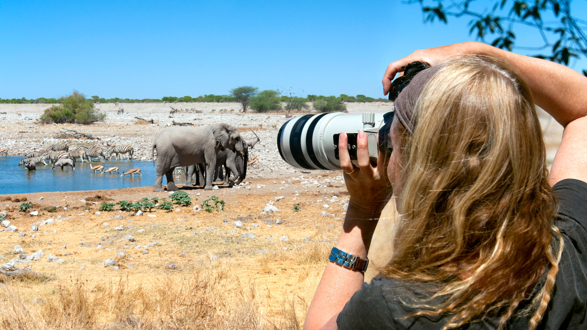Experience the Wild on Foot
