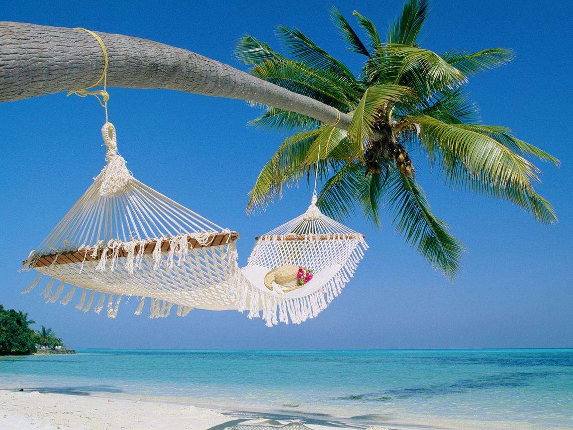 10 Day Wildlife Safari & Zanzibar Beach Holiday
