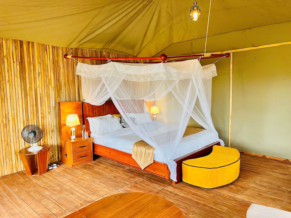 Golden Safari Camp