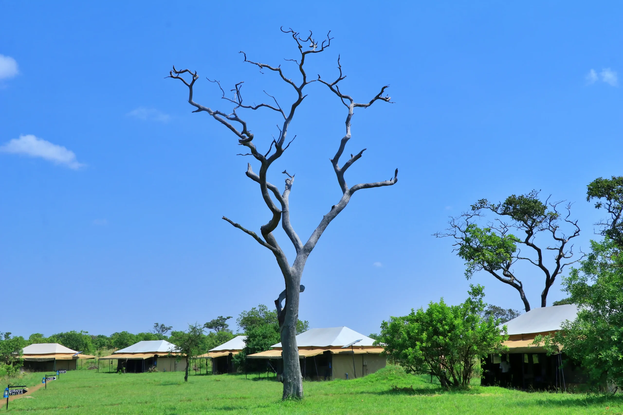 Mara River Camp