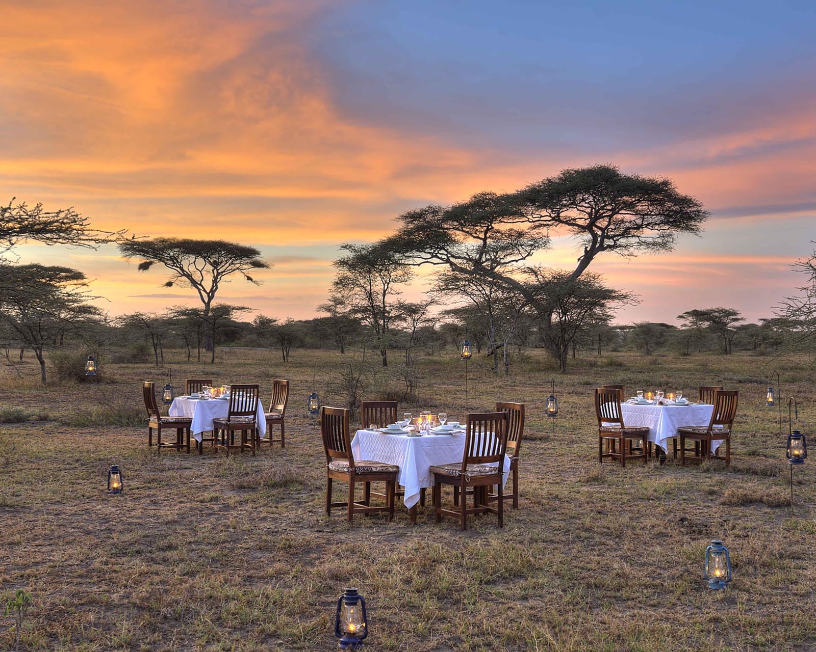 Safari Sundowner
