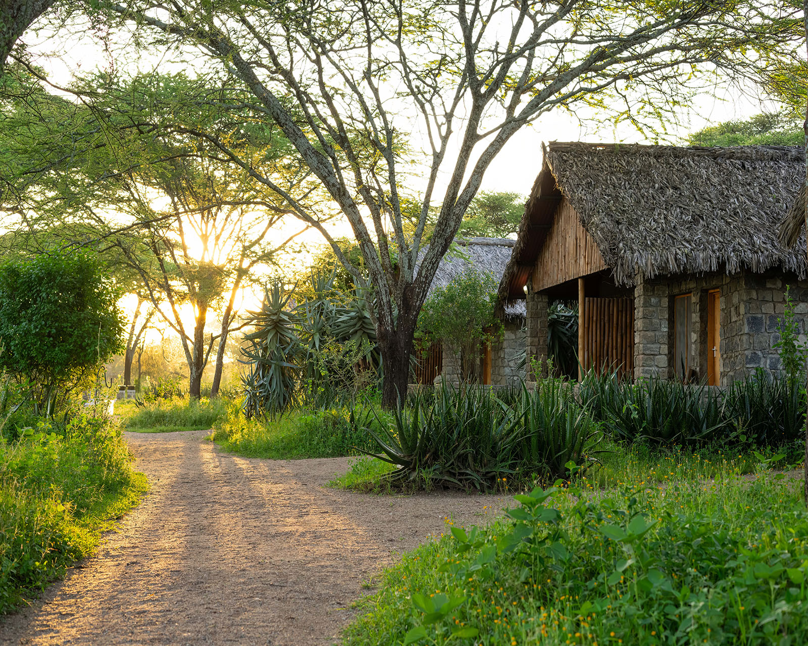Ndutu Safari Lodge