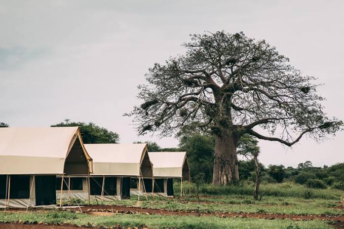 Tarangire Tortilis Camp