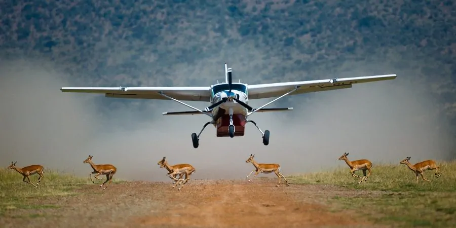 Tanzania Fly-In Safaris 1