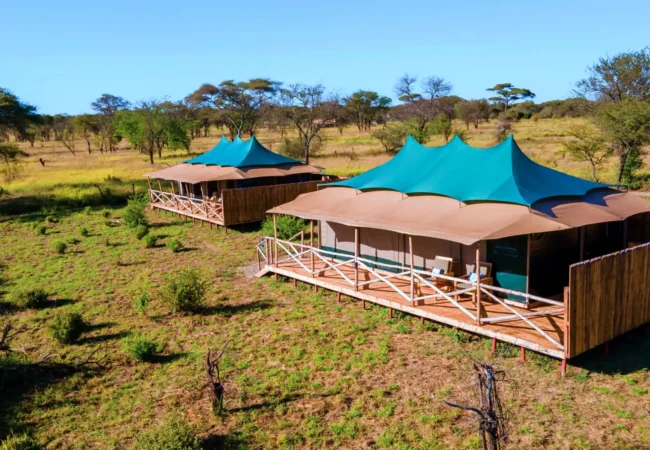 6 days tanzania luxury safari
