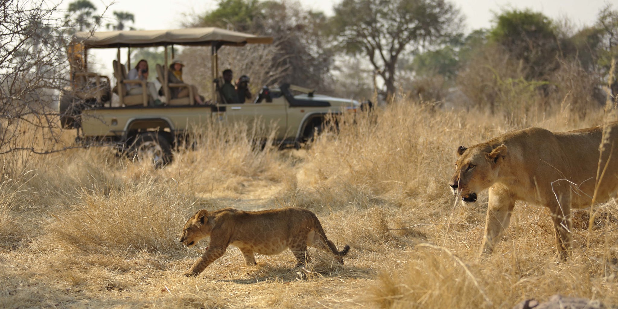 Travelers on a Tanzania safari game drive