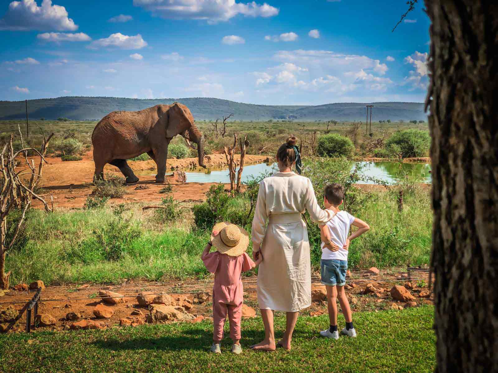 african safari cost for family of 4